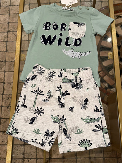 Completo Wild Salvia