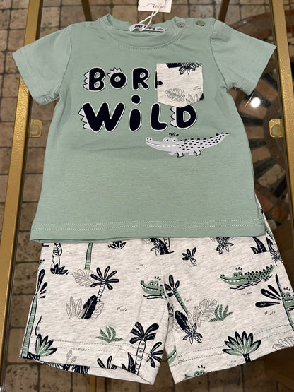 Completo Wild Salvia